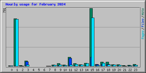 Hourly usage for February 2024