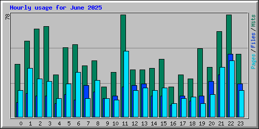 Hourly usage for June 2025