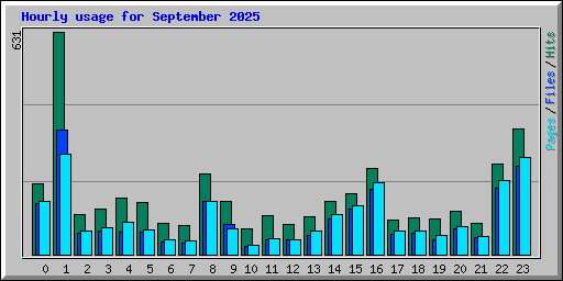 Hourly usage for September 2025