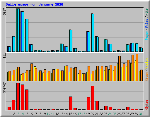 Daily usage for January 2026