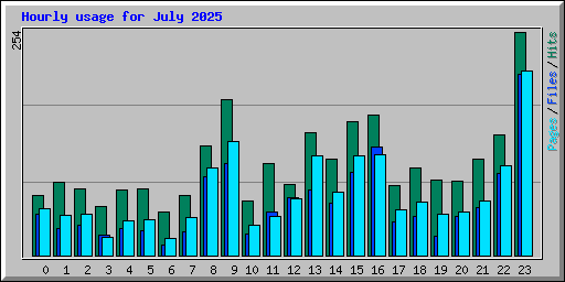 Hourly usage for July 2025