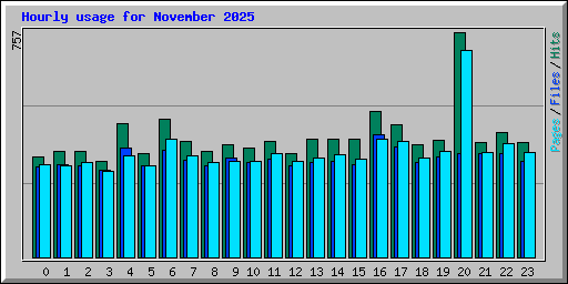 Hourly usage for November 2025