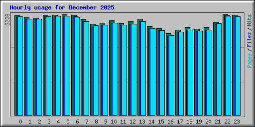 Hourly usage for December 2025