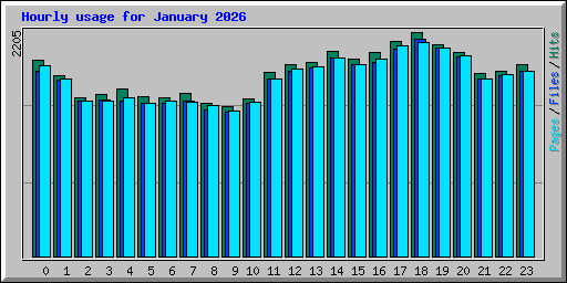 Hourly usage for January 2026