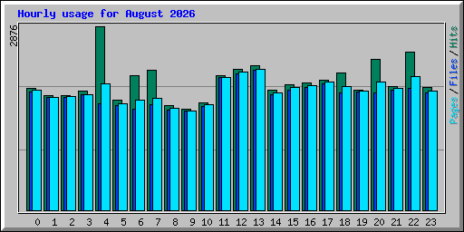 Hourly usage for August 2026